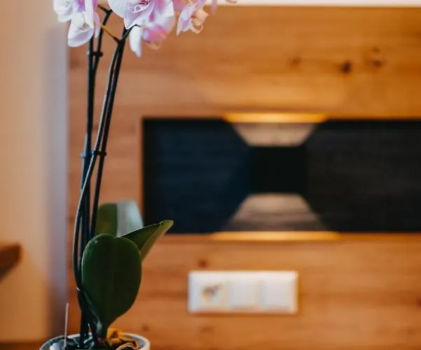 Allhartsberger Hof 招待所 3*